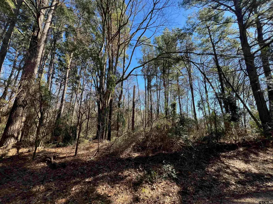 TBD Cr 2314, Pittsburg, TX 75686 - #2