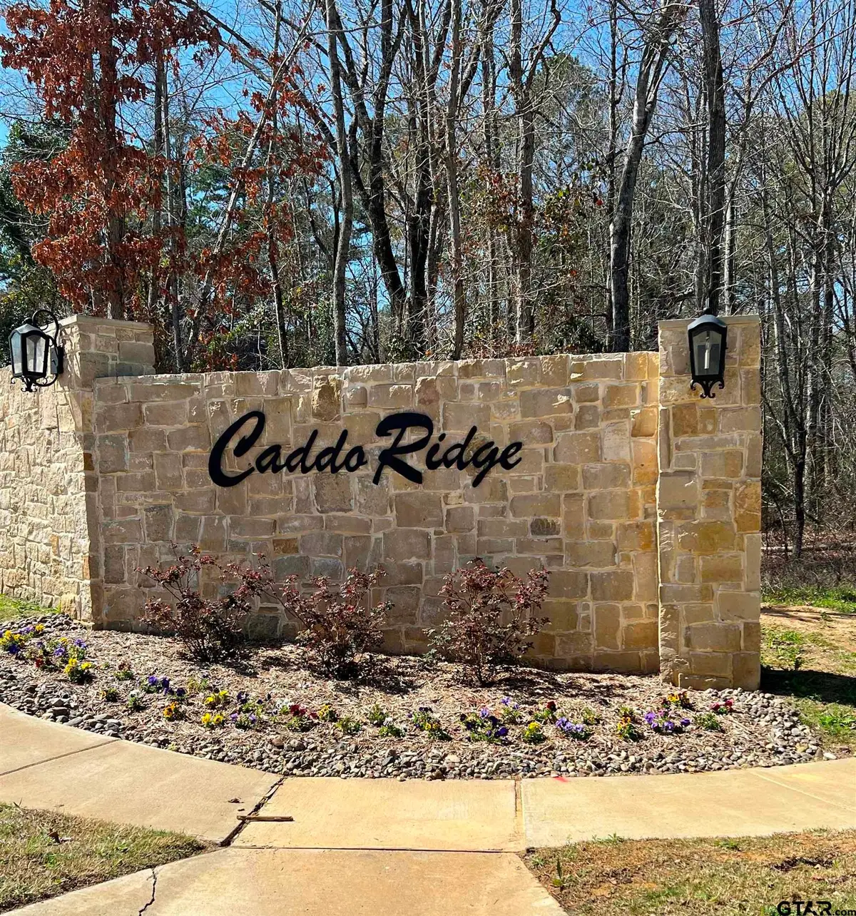 9295 Caddo Ridge Cove, Tyler, TX 75703 - #1