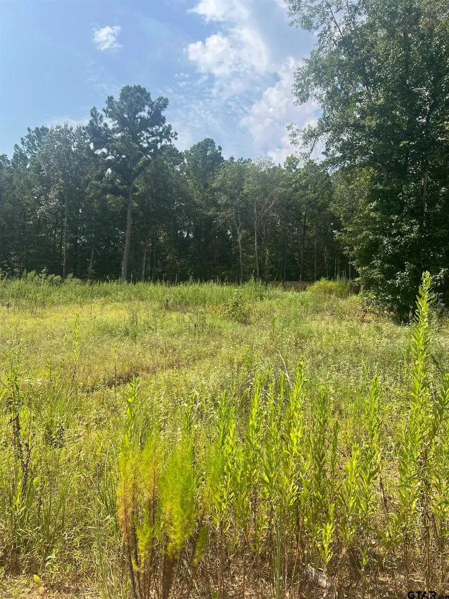 9295 Caddo Ridge Cove, Tyler, TX 75703 - #3