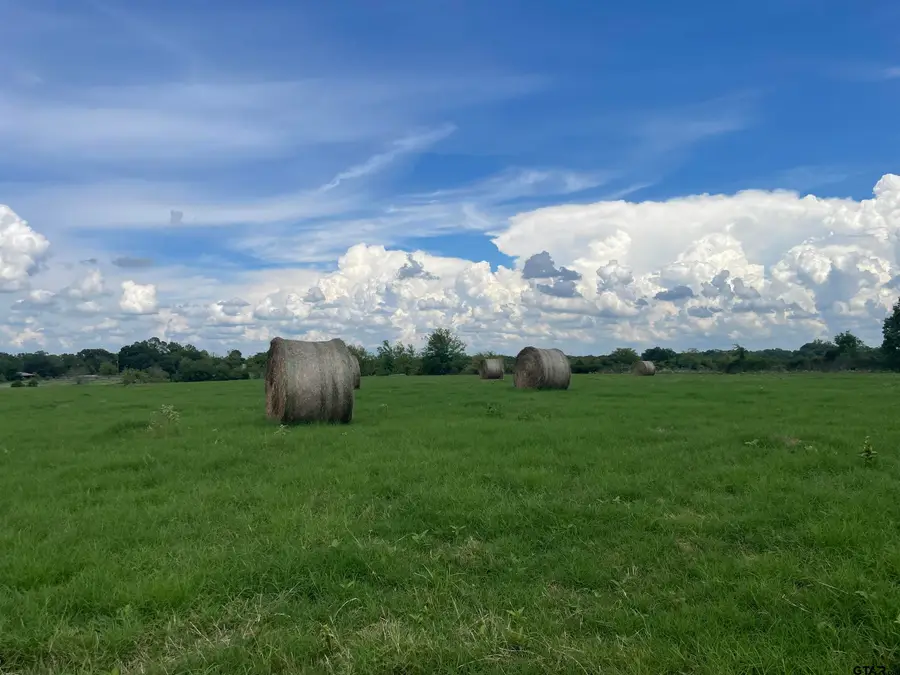 8163 & 8181 CR 1200, Mount Pleasant, TX 75455 - Image #3