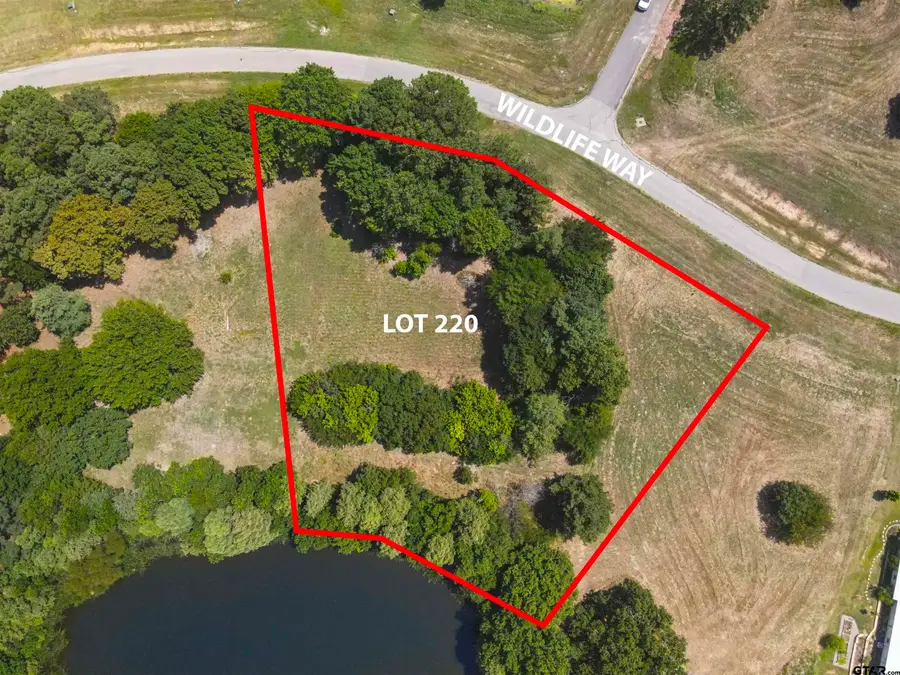 LOT 220 Wildlife Way, Athens, TX 75752 - Image #3