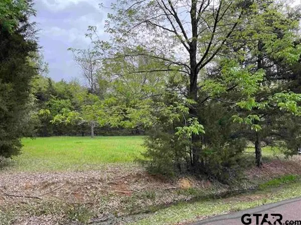 Lot 61 Cypress Circle, Mt Vernon, TX 75457