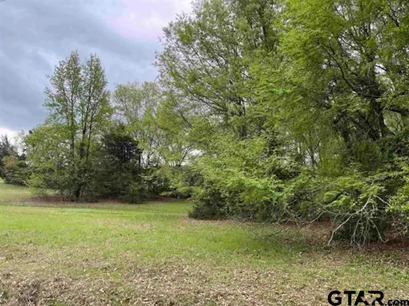 Lot 61 Cypress Circle, Mount Vernon, TX 75457 - Image #2