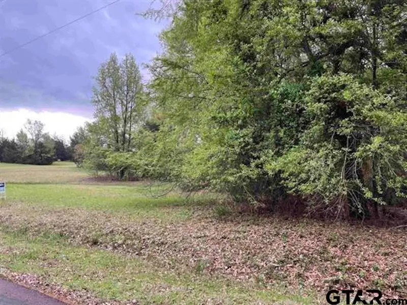 Lot 61 Cypress Circle, Mount Vernon, TX 75457 - Image #3