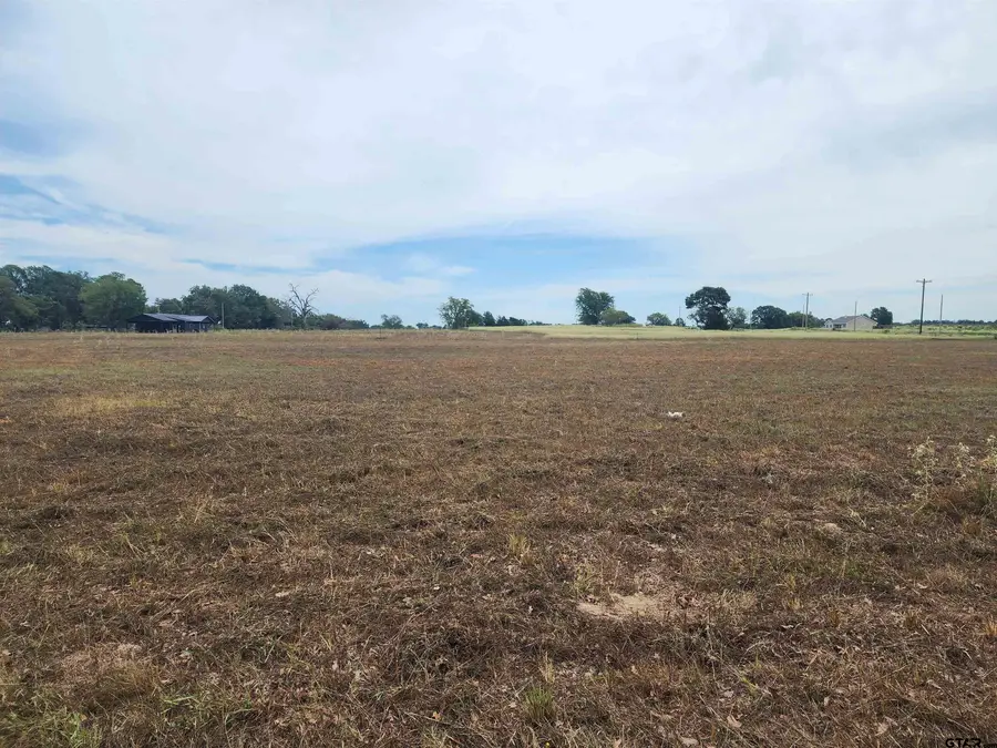 TBD CR 3105 Lot#6, Pittsburg, TX 75686 - #3