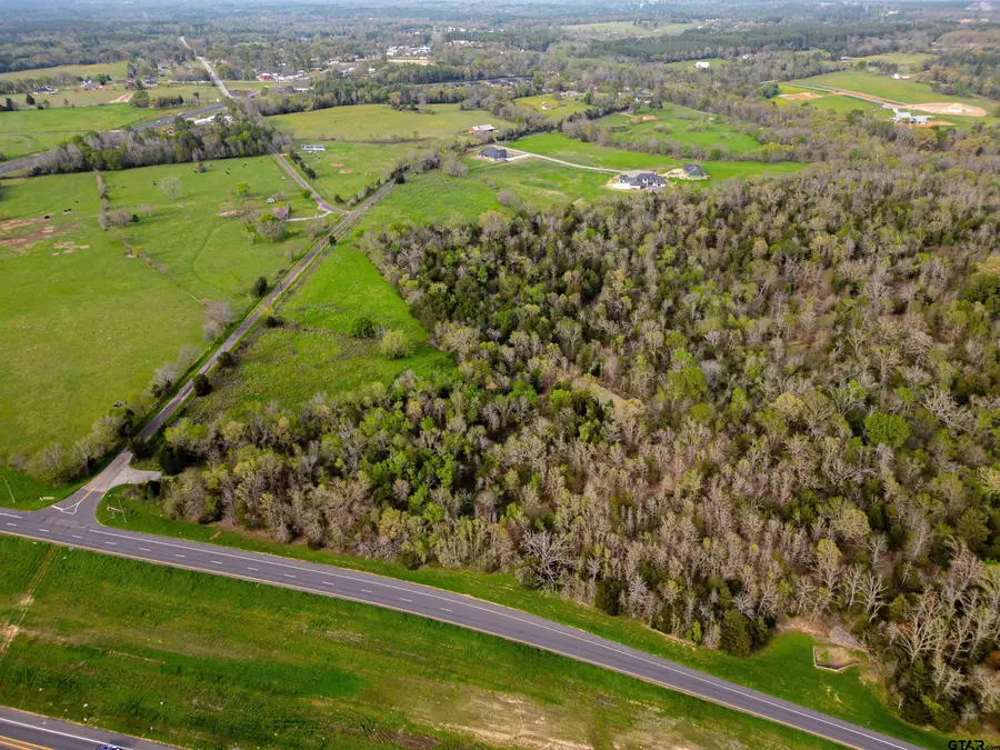 TBD C R 192 106 Acre, Tyler, TX 75703 - #3