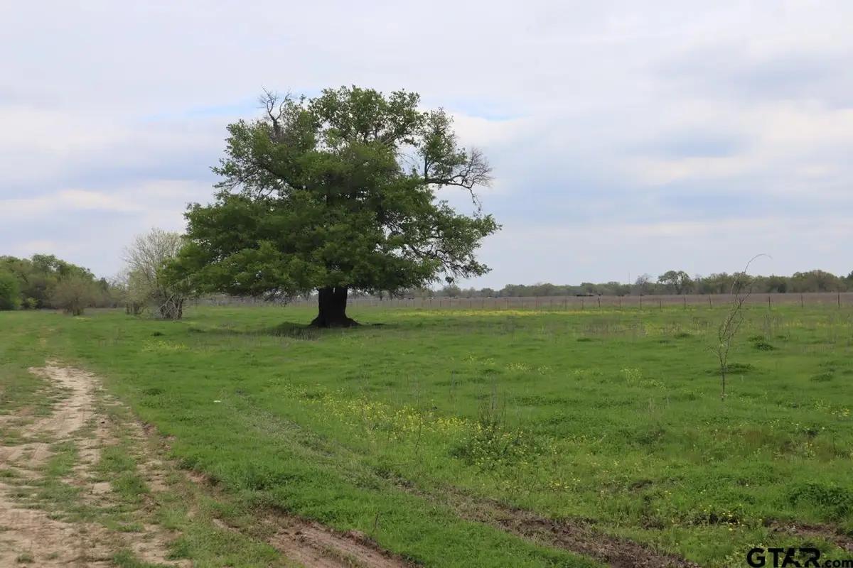 0 County Road 4764, Sulphur Springs, TX 75482 - #1