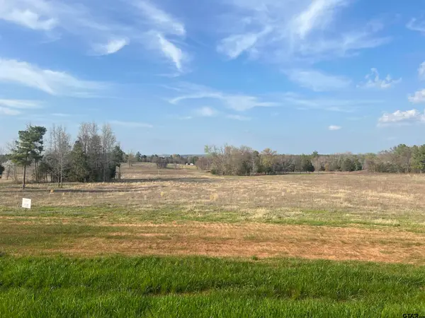 12290 Ridgeline Loop, Winona, TX 75792