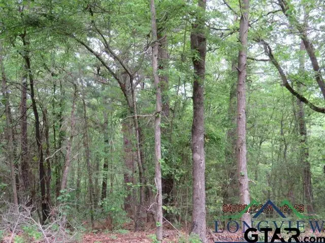 TBD CR 203, Henderson, TX 75652 - Image #1