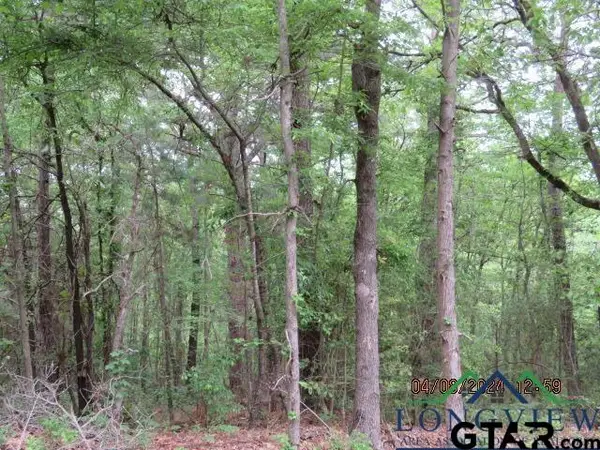 TBD CR 203, Henderson, TX 75652