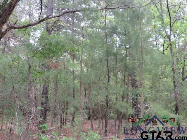 TBD CR 203, Henderson, TX 75652 - Image #2