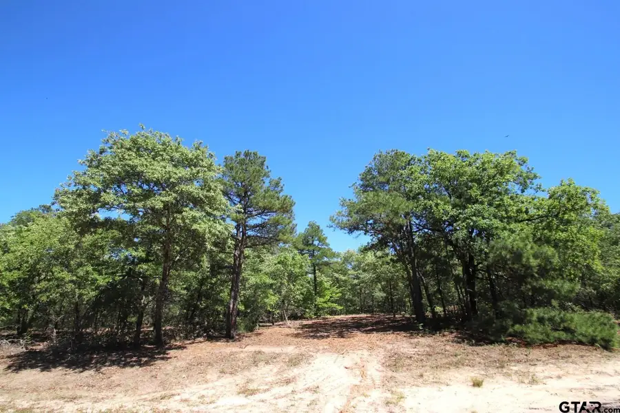 TBD CR 4552, Winnsboro, TX 75494 - Image #2
