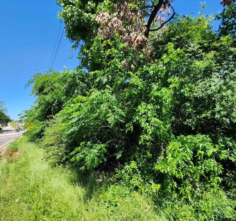 1220 E Front St, Tyler, TX 75702 - Image #2