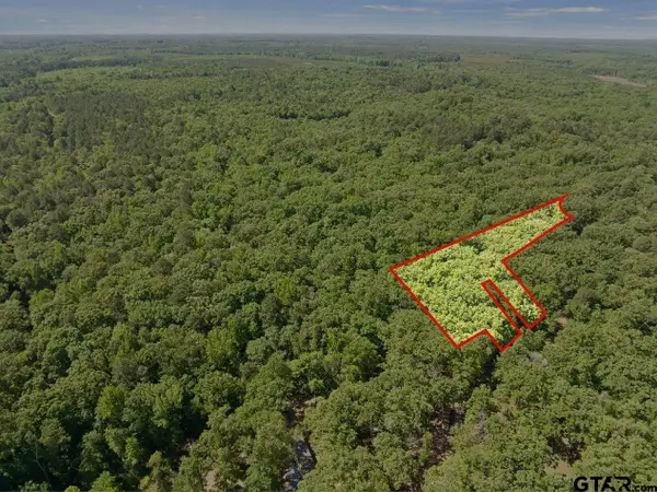 307 Fish Trap, Naples, TX 75568