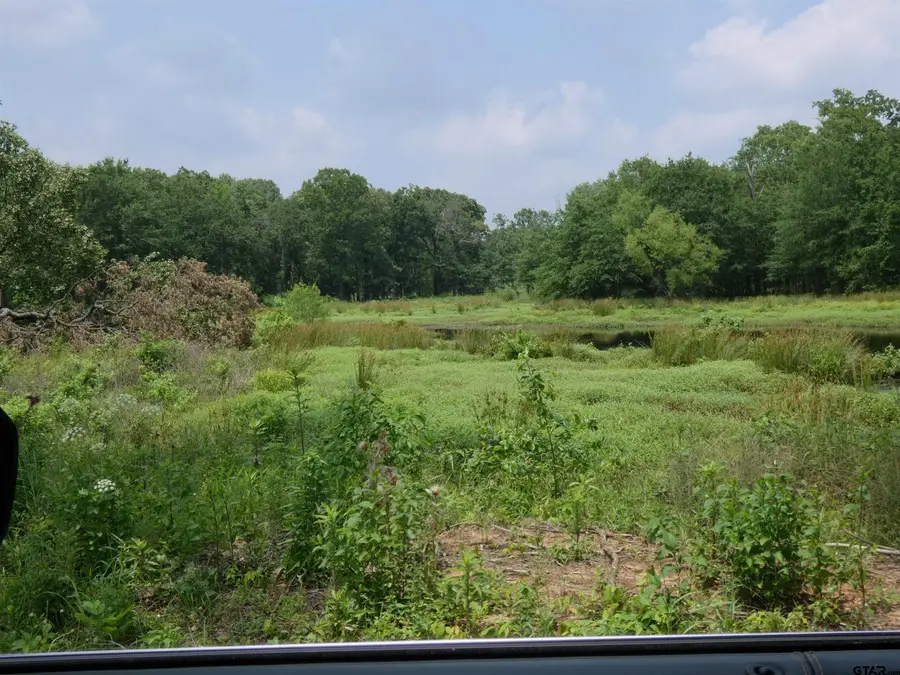 TBD FM 1000, Mount Pleasant, TX 75455 - Image #2