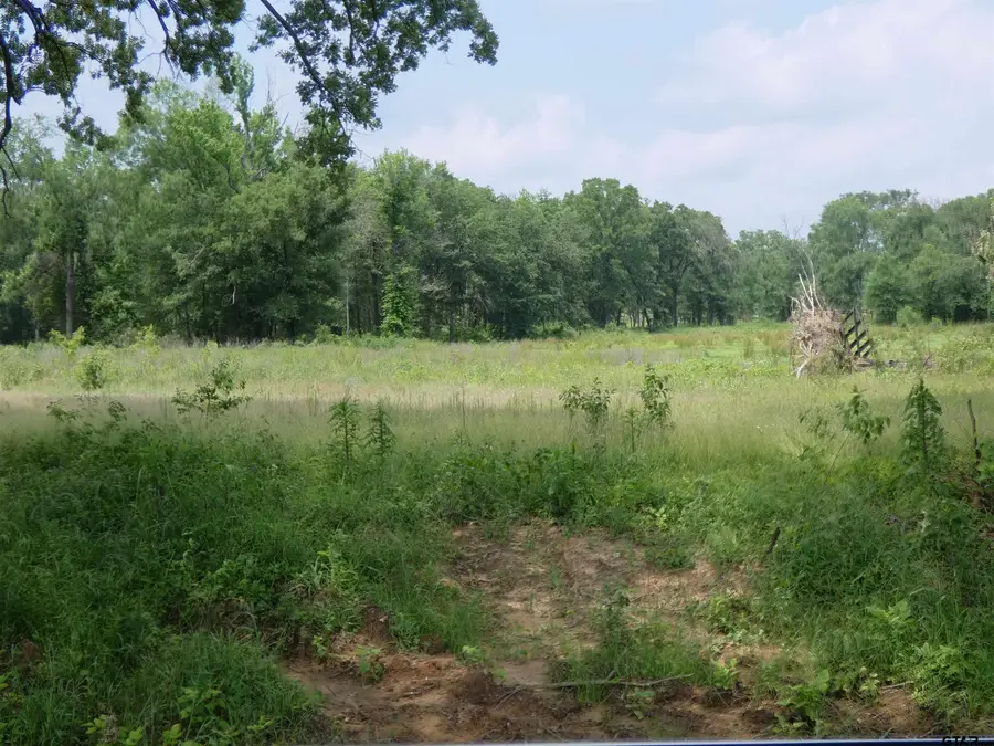 TBD FM 1000, Mount Pleasant, TX 75455 - Image #3