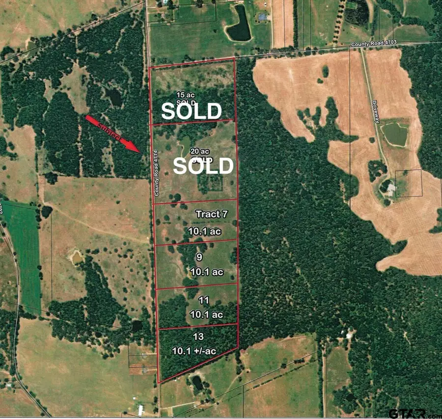 TBD VZ CR 4714 (Tract 13), Ben Wheeler, TX 75754 - Image #2