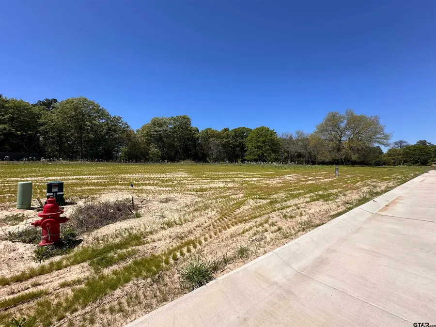 16935 Sawyer Way, Lindale, TX 75771 - Image #3