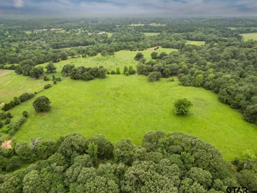 TBD CR 2222, Arp, TX 75750 - Image #2