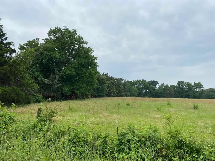 981 CR 3987, Winnsboro, TX 75494 - Image #3