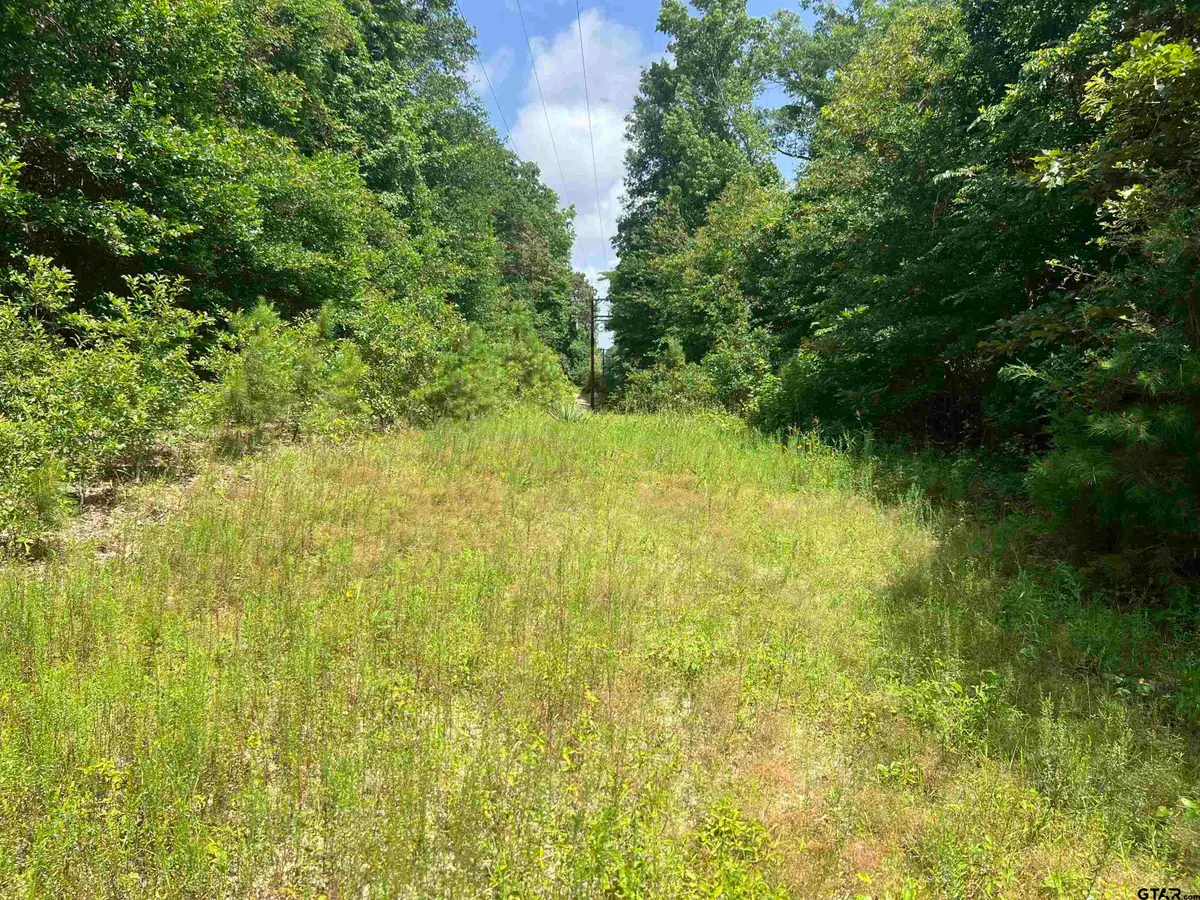 301 Bluebonnet, Avinger, TX 75630 - Image #1