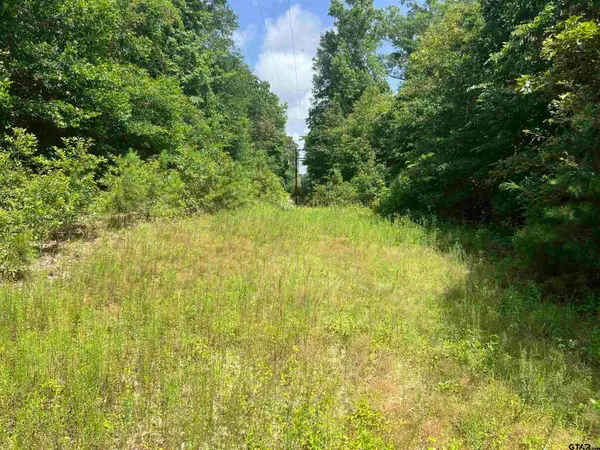 301 Bluebonnet, Avinger, TX 75630