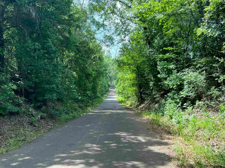 301 Bluebonnet, Avinger, TX 75630 - Image #3