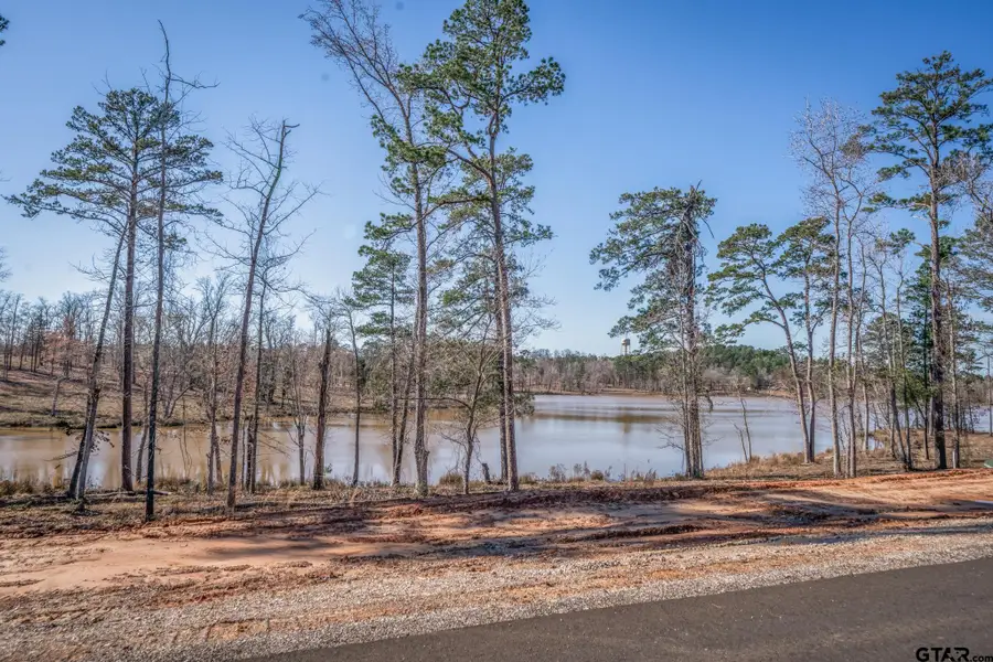LOT 28 BIG ROCK LAKE, Hallsville, TX 75650 - Image #3