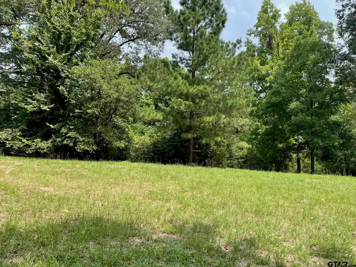 TBD FM 557, Pittsburg, TX 75686 - Image #1