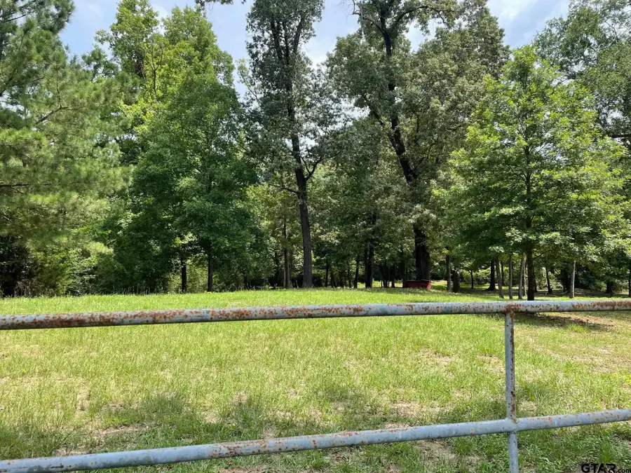 TBD FM 557, Pittsburg, TX 75686 - Image #3