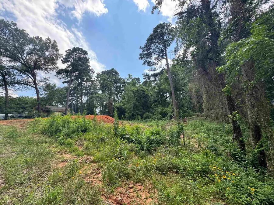 270 CR 2155, Quitman, TX 75783 - #2