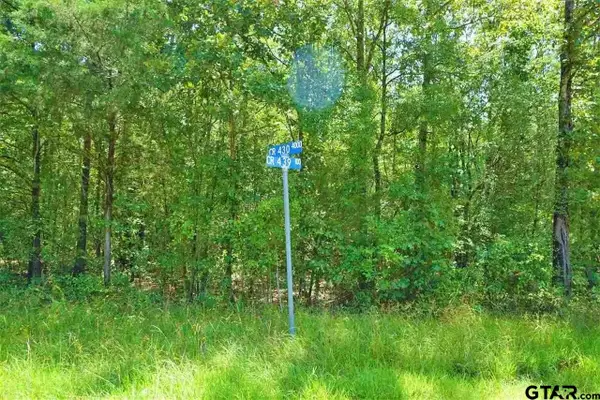 106 County Road 439, Joaquin,  75954