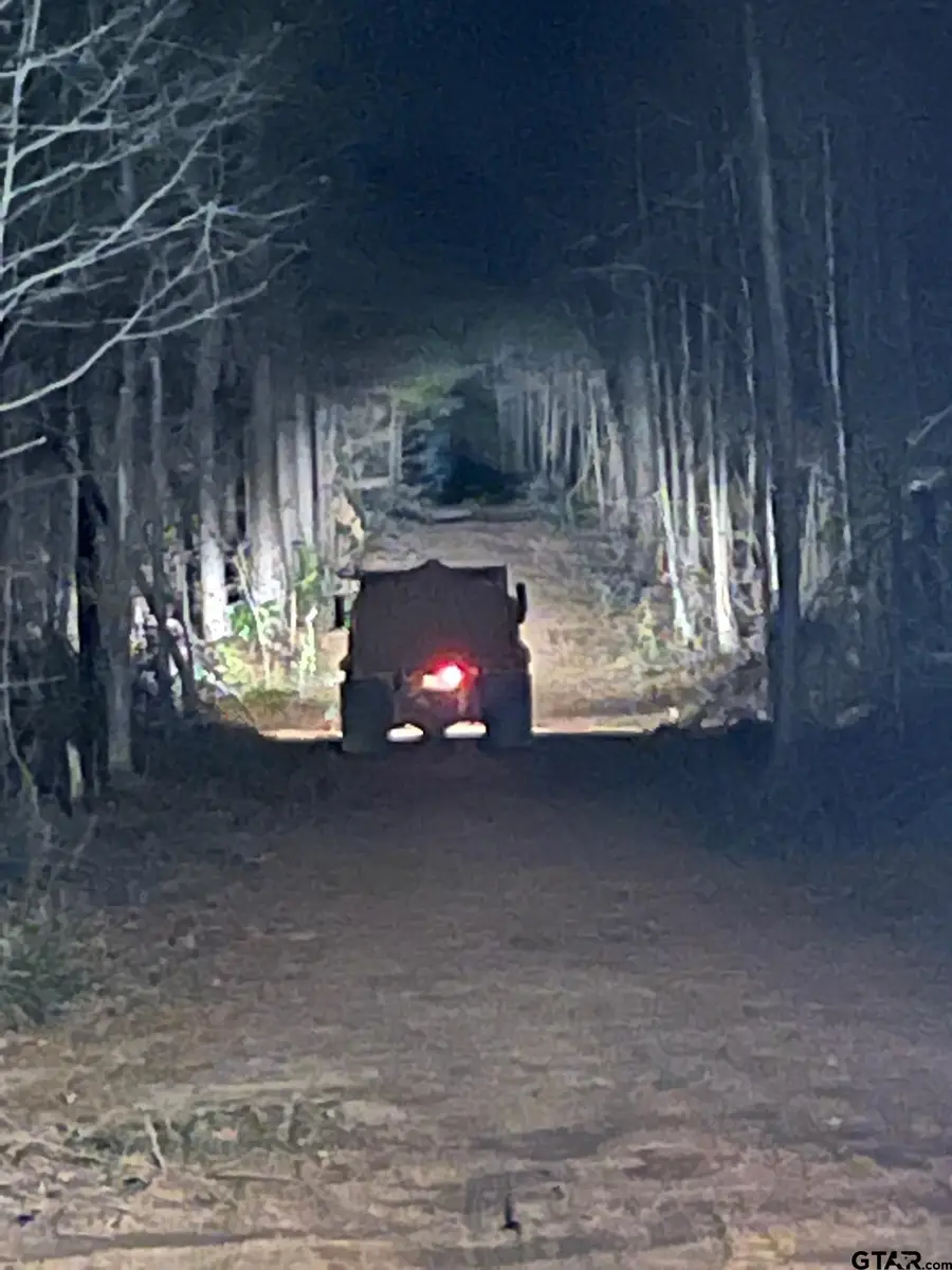 460 Acres off Watson Rd, Kilgore, TX 75662 - Image #2