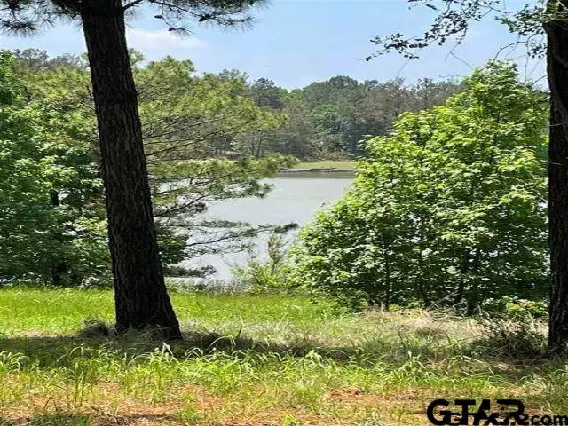 Lot 12 ACR 450, Montalba, TX 75853 - Image #2