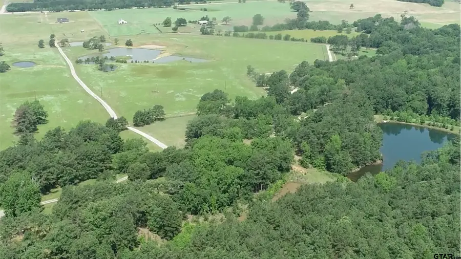 Lot 30 ACR 453, Montalba, TX 75853 - Image #2