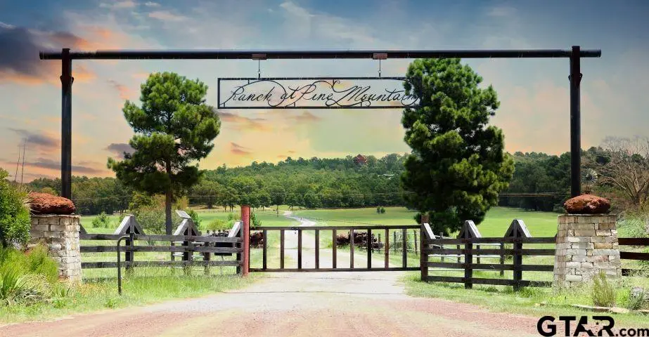 Lot 36A ACR 453, Montalba, TX 75853 - Image #1