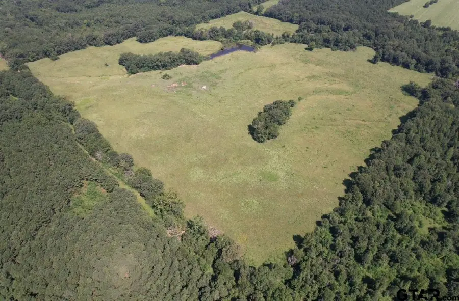 TBD-B CR  4037, Timpson, TX 75975 - Image #2