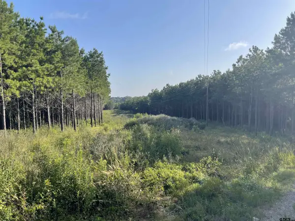 TBD (Lot 45) County Road 1060, Center, TX 75935