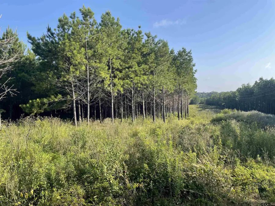 TBD (Lot 45) County Road 1060, Center, TX 75935 - Image #3