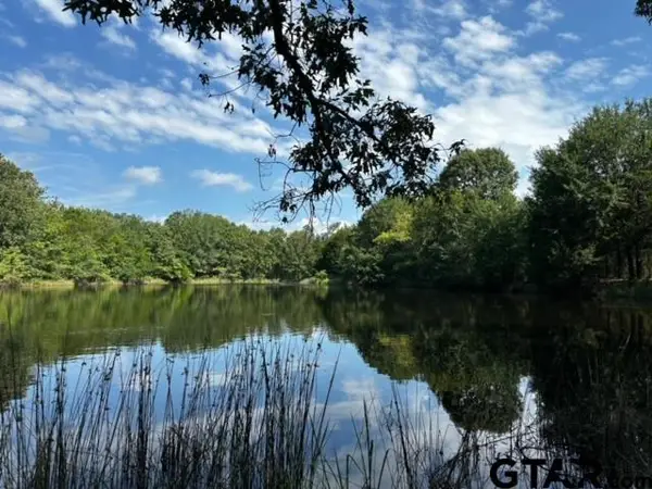 TRACT F 306 PRIVATE ROAD 8507, Van, TX 75790