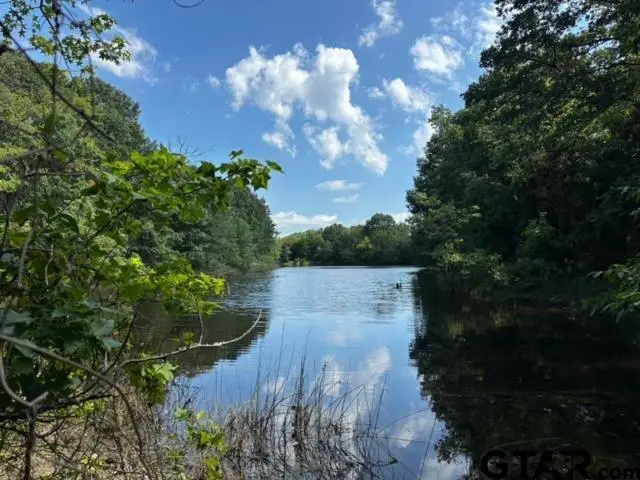 TRACT F 306 PRIVATE ROAD 8507, Van, TX 75790 - Image #2