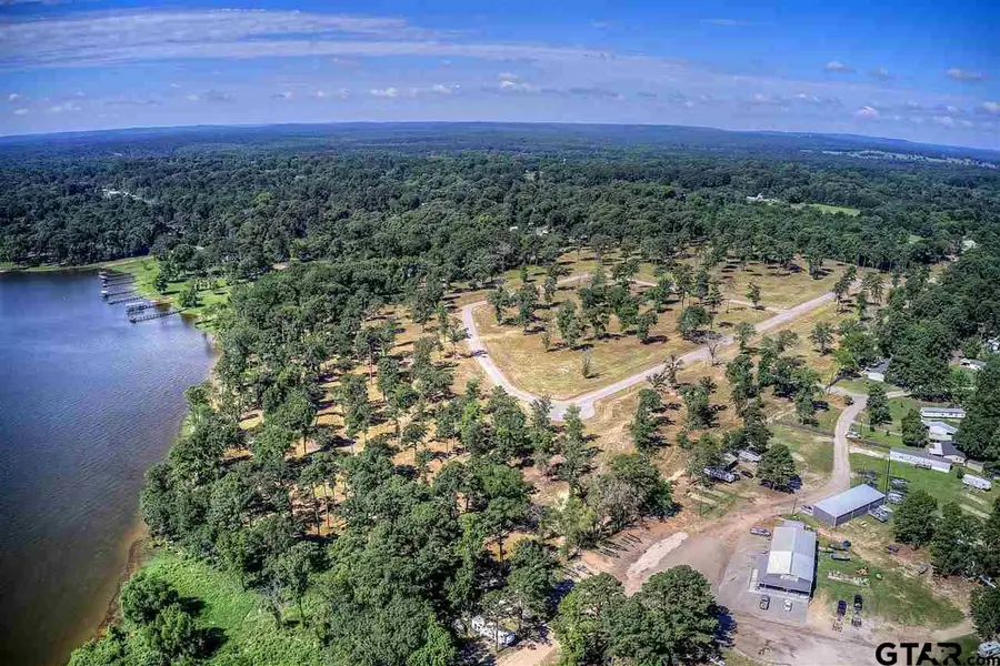 20553 Wyndham Drive, Chandler, TX 75758 - #3