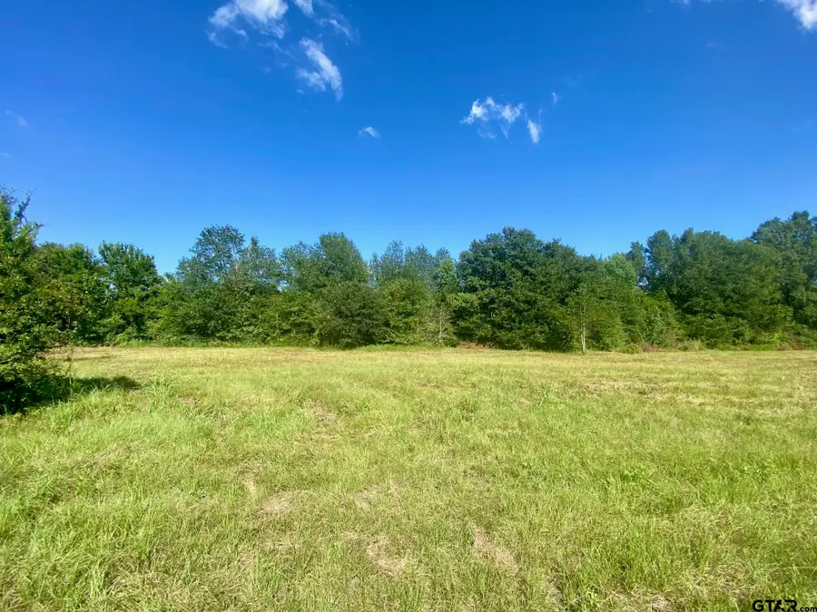 Lot #133 JB McDuff Drive, Crockett, TX 75835 - #2