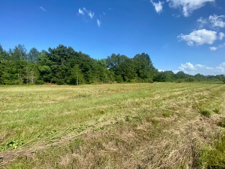 Lot #133 JB McDuff Drive, Crockett, TX 75835 - #3