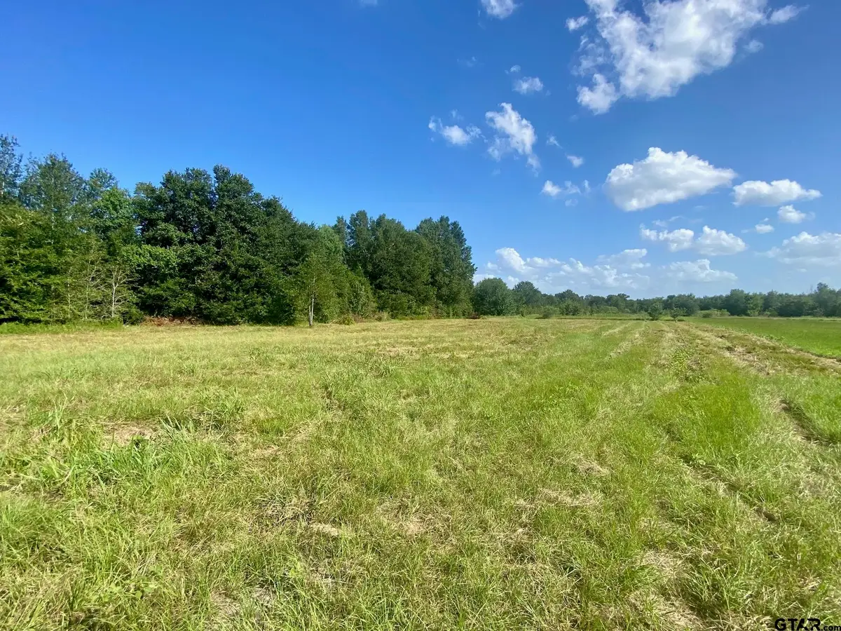 Lot #134 JB McDuff Drive, Crockett, TX 75835 - #1