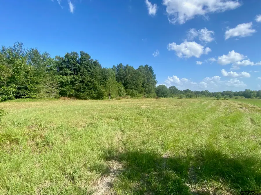 Lot #134 JB McDuff Drive, Crockett, TX 75835 - #3