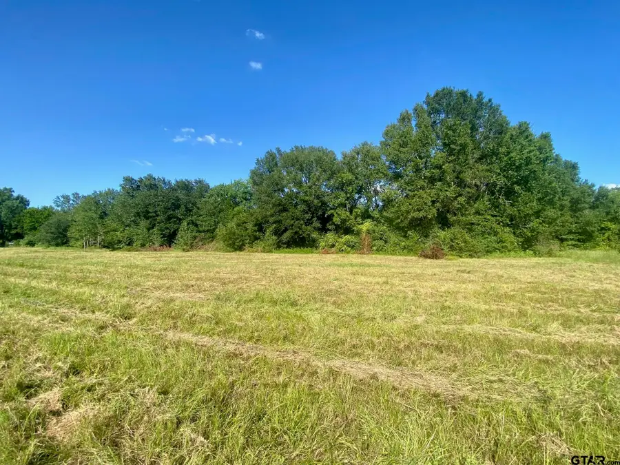 Lot #136 JB McDuff Drive, Crockett, TX 75835 - #3