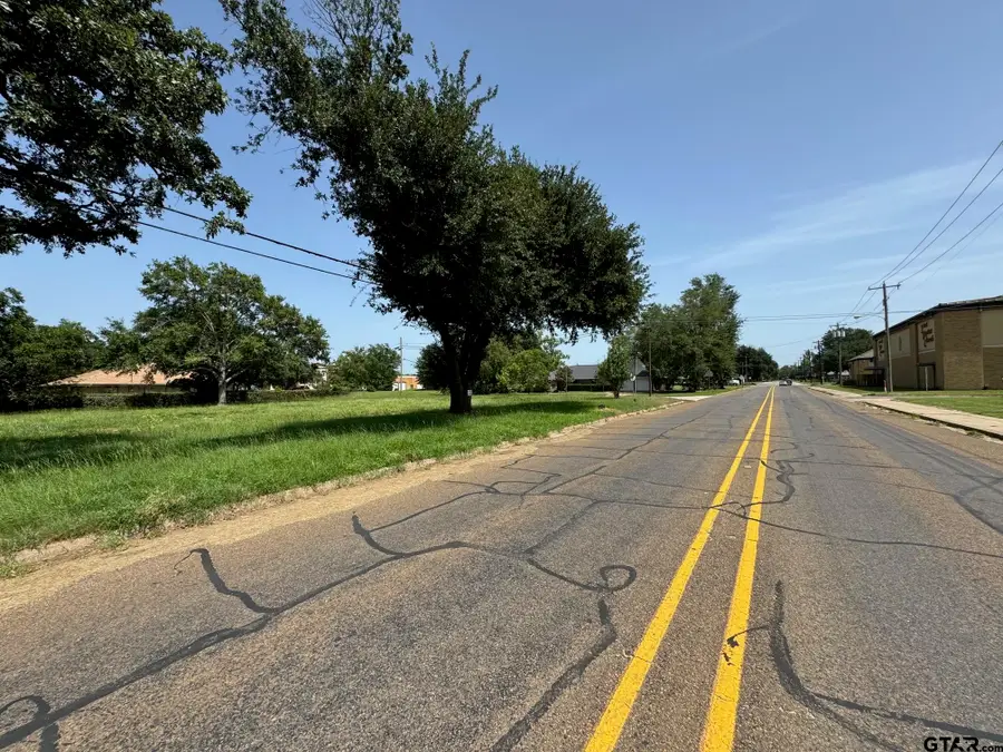 206 N Olive Street, Grapeland, TX 75844 - #2
