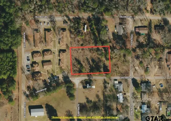 TBD Lakeview Drive, Lone Star, TX 75668