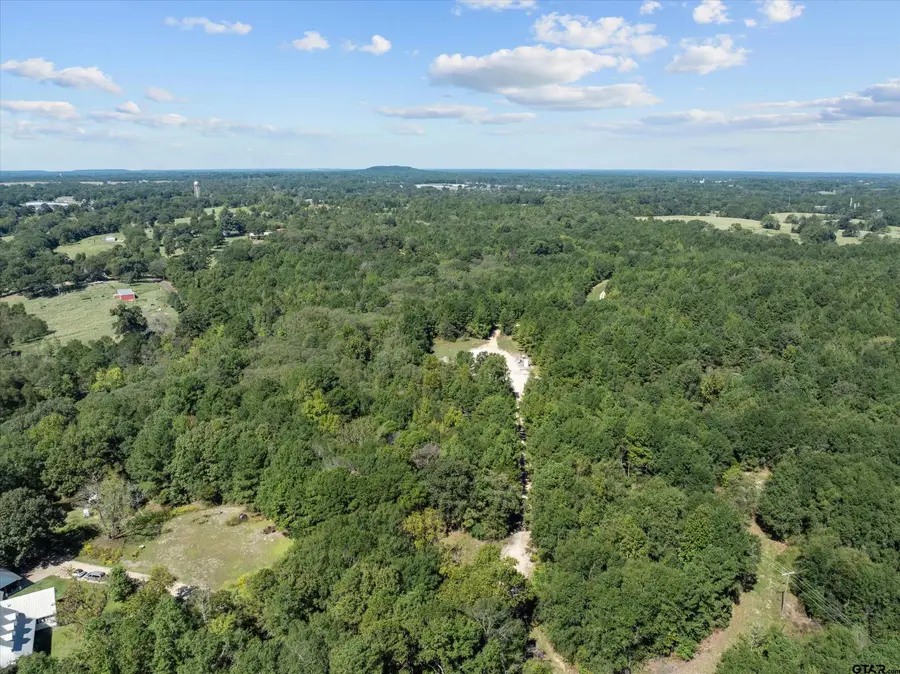 TBD Bluebird Road, Gilmer, TX 75645 - Image #2